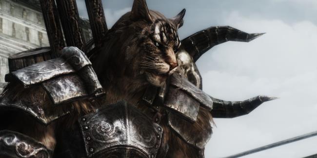 Skyrim Khajiit Unarmed