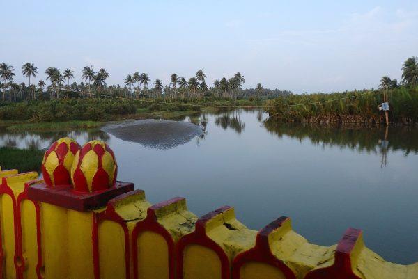 Arakan Army Takes Key Town in Western Myanmar, While Denying Rohingya Attacks