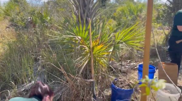 police investigation