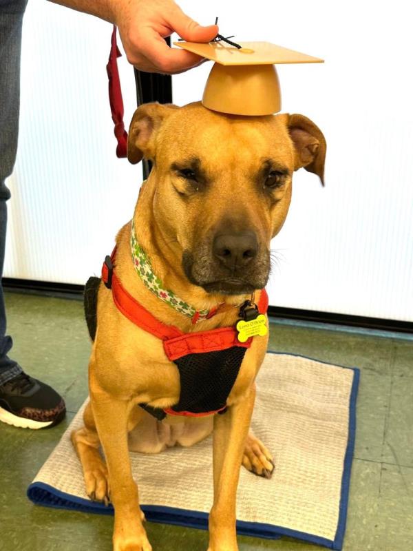 Lena graduating training.