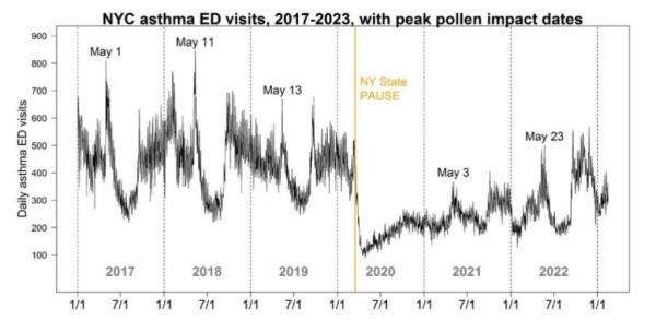 Data from the bulletin revealed that there could be more allergy-related hospitalizations in May. 