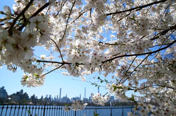Hospitalizations for allergies are usually lower in April. 
