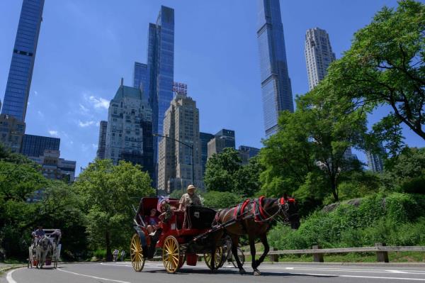 A traditio<em></em>nal horse-drawn carriage.