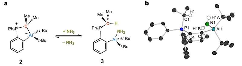 New ammo<em></em>nia reaction might be used as a sustainable source of nitrogen