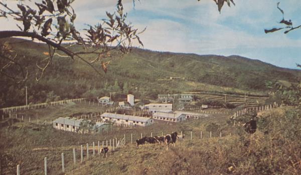 This combination of photos shows the exterior and interior of a silo for livestock feed, part of the American-Korean Foundation's 4-H Training Farm in Bucheon, Gyeo<em></em>nggi Province. The silo was designated cultural heritage by Gyeo<em></em>nggi Province in October 2021. (Gyeo<em></em>nggi Provincial Government)