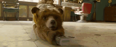 《帕丁顿熊3》终于公布了上映日期,粉丝们都快疯了_《帕丁顿熊3》终于公布了上映日期,粉丝们都快疯了_《帕丁顿熊3》终于公布了上映日期,粉丝们都快疯了