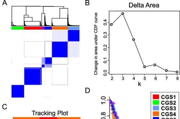 A new gene classification system for gastric cancer