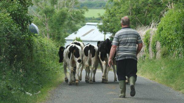 Farmers can now apply for licence to bury dead animals on their land 