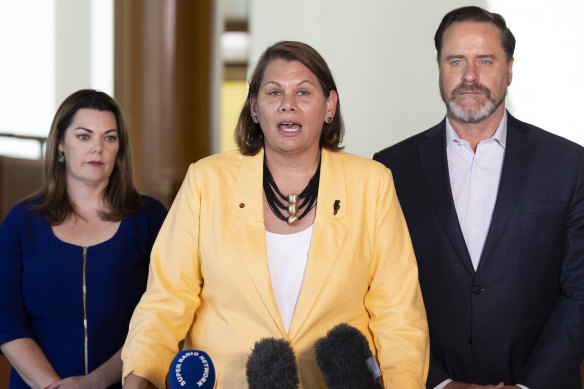 Sarah Hanson-Young, Dorinda Cox and Peter Whish-Wilson during a press co<em></em>nference at Parliament House.