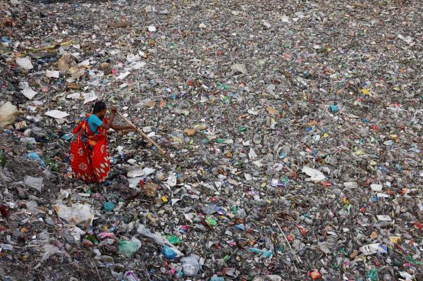 A woman searches for plastic bottles to collect from a canal full of waste in Dhaka
