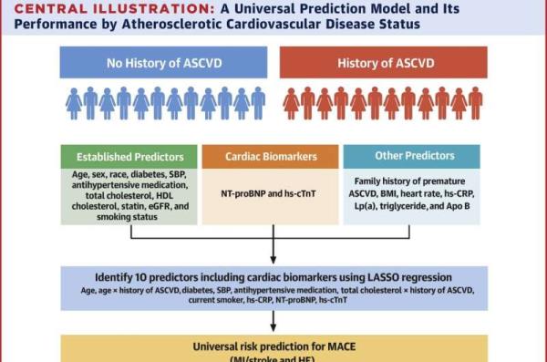 Researchers develop universal risk predictor for cardiovascular disease