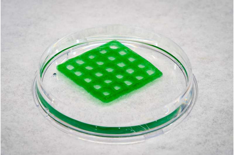 3D-printed 'living material' could clean up co<em></em>ntaminated water