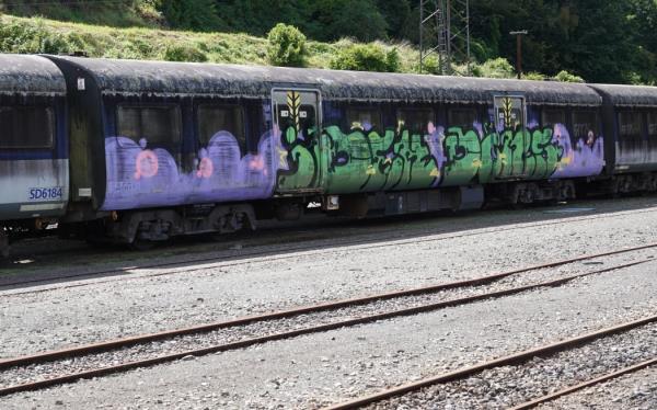 27 of the 53 Auckland commuter carriages dumped in Taumarunui will be scrapped.
