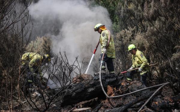 170224 CHRIS SKELTON / POOLFirefighters co<em></em>ntinue their efforts on Saturday as they work to dampen down remaining hot spots and create a buffer zone around the 24km perimeter fire ground in Christchurch's Port Hills. Pictured left to right, Lee Reihana (City Care firefighter), John Hyto<em></em>ngue (City Care firefighter), and Stephen Robson (Peel Forest Volunteer firefighter)