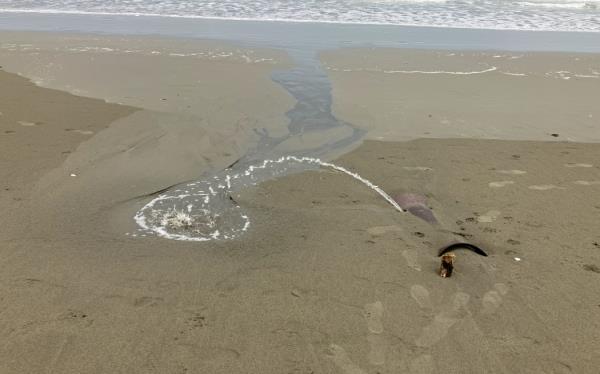 New Brighton flooding