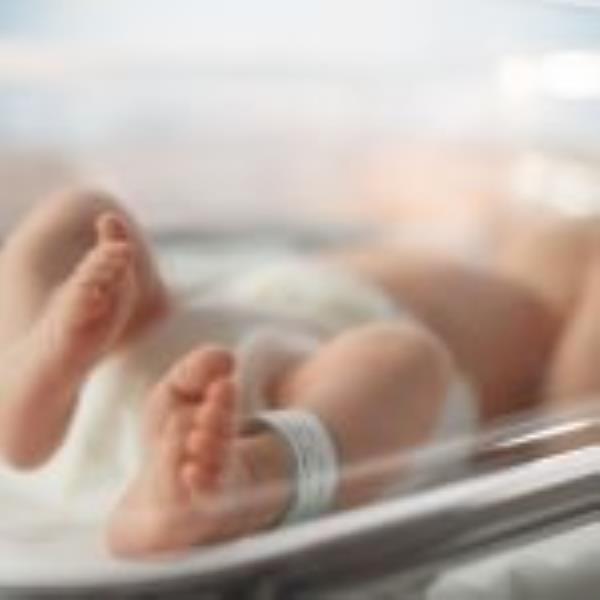 Italy sees drop in birth rate
