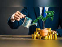 Diwali doublers: InCred gunning for 3 stocks that can gain up to 311% in 3 years