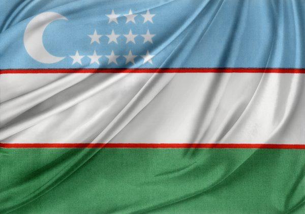 In Uzbekistan, Residents Complain of Poor Quality in Rural Housing Projects 