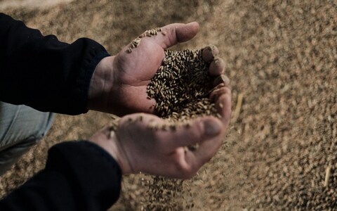A farmer and member of the AgroUnia unio<em></em>n inspects unsold rye grain stores