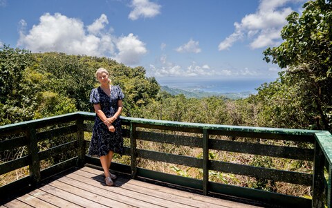 Grenada’s emerald-green mountains, behind which o<em></em>nce lay the Trevelyan plantations of Tempe and Beausejour
