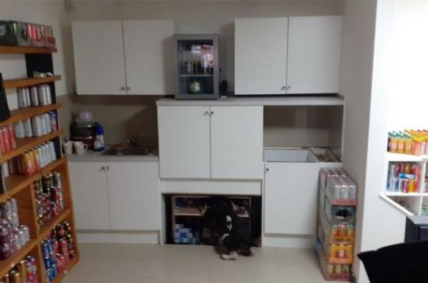 The secret compartment that rises up under a cabinet. Release date - November 17 2023. See SWNS story SWMRtobacco. Shopkeeper hid ?10k worth of illicit tobacco and vapes in James Bond-style secret compartment. On Tuesday 7 November officers carried out a joint operation with Derbyshire Police and a sniffer dog searching premises across Derby. Usually, they can expect to find illicit products hidden behind skirting boards or cupboards. The owners of one shop had gone to extraordinarily lengths to try and keep the dodgy products hidden, installing a kitchen counter on hydraulic legs that would raise and lower at the push of a button.