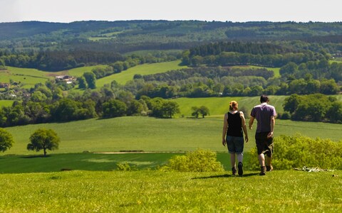 Rolling green hills of Box Hill, North Downs, Surrey Hills