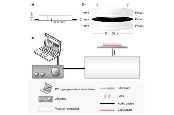 Music in the lab may give unexpected results