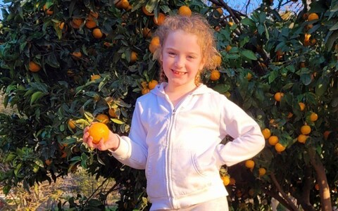 Emily was among a<em></em>bout 240 hostages taken by Hamas