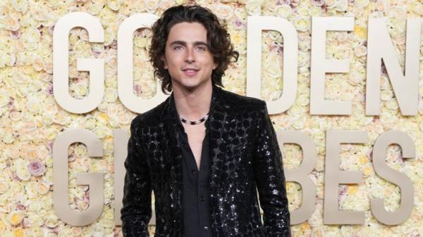 Timothee Chalamet arrives at the 81st Golden Globe Awards on Sunday, Jan. 7, 2024, at the Beverly Hilton in Beverly Hills, Calif. (Photo by Jordan Strauss/Invision/AP)