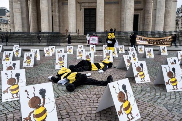 Protesters, dressed up as bees, demo<em></em>nstrate amid placards in front of the Pantheon against the potential lift of a ban on bee-killing neo<em></em>nicotinoid pesticides in Paris on January 20, 2023.