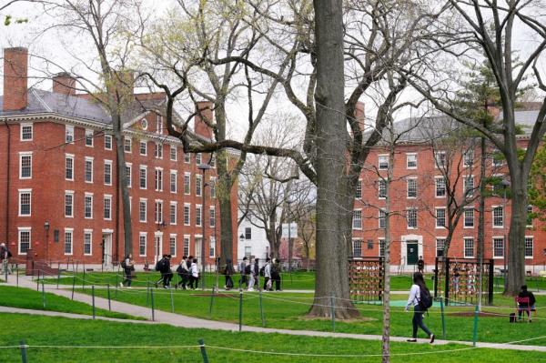 Harvard Yard 