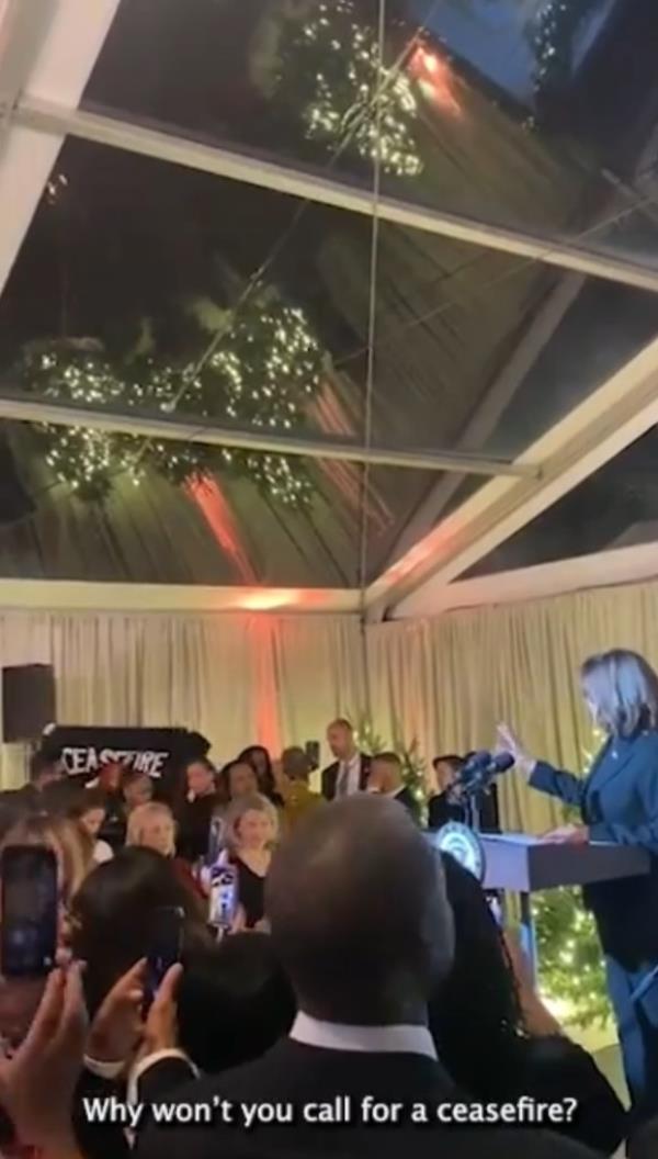 Vice President Kamala Harris was speaking when Delaware state Rep. Madinah Wilson-Anton (D) interrupted her by unfurling a sign that read “ceasefire” before shouting at her.