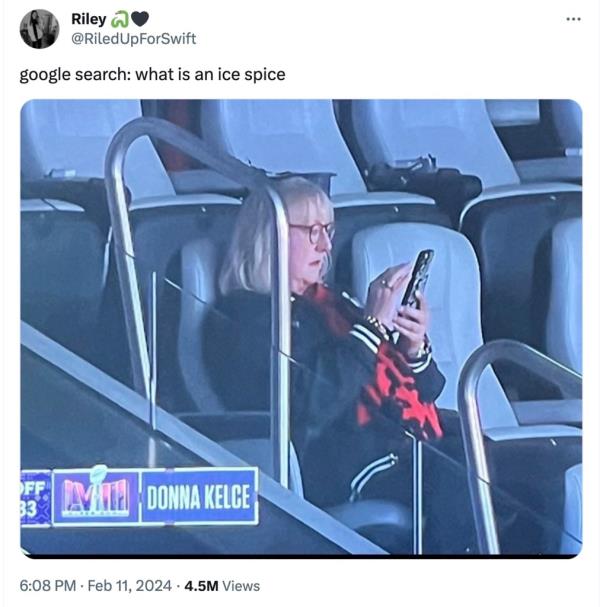 A meme of Do<em></em>nna Kelce on her phone. 