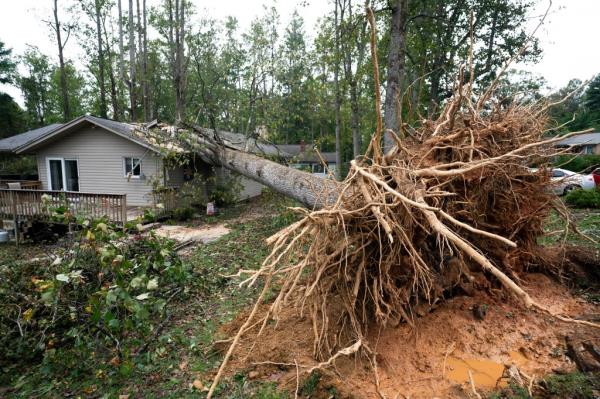 A fallen tree on a home in the aftermath of Hurricane Helene on September 28, 2024