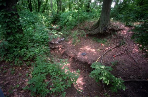 The bodies were discovered horrifically mutilated, with experts later finding that the bodies were likely preyed by wild animals.