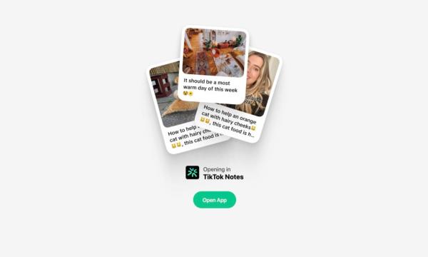The site shows polaroid-looking photo posts with still photos and text in the open white space -- much like Instagram.