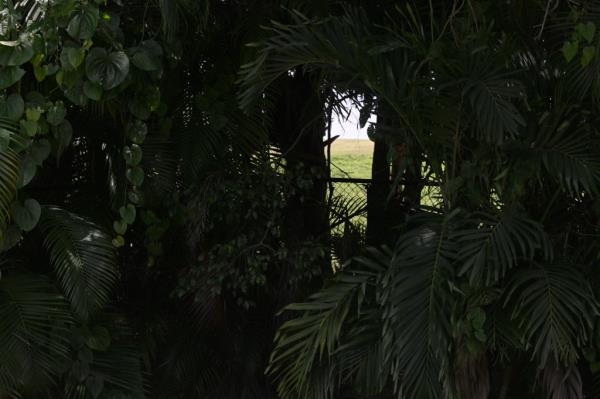 Holes in the fence around Trump internatio<em></em>nal golf course, offering a view of a green field
