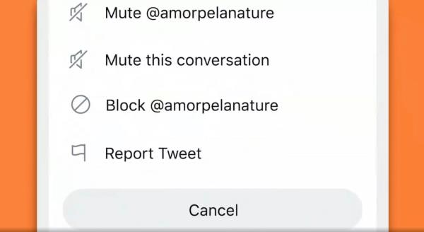 Musk said that users will still be able to mute those they wish to ignore.