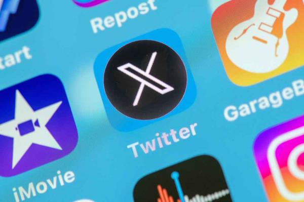 Musk recently re-branded Twitter into X -- mo<em></em>nths after acquiring the site for $44 billion.