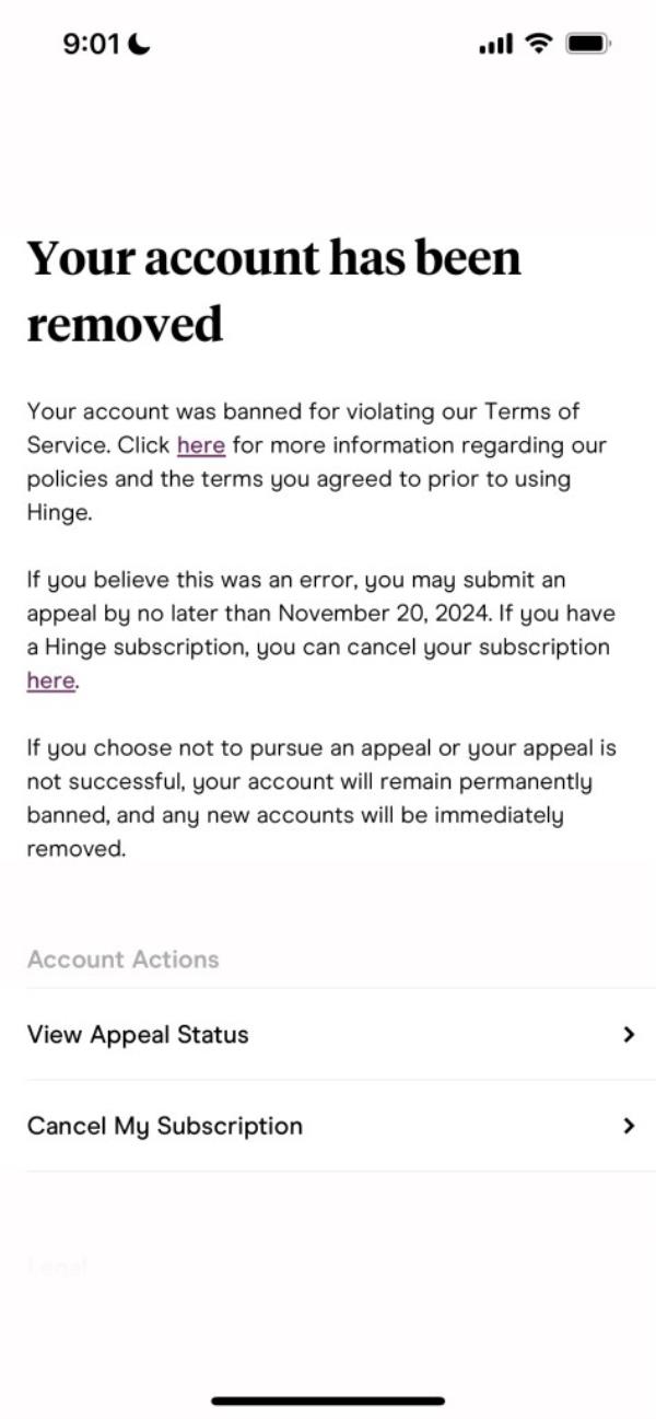The notice Leyb received from Hinge a<em></em>bout his account being removed.