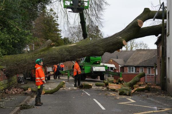 Workmen remove a fallen tree which has damaged the roof of a house in the village of Stanley in Derbyshire 