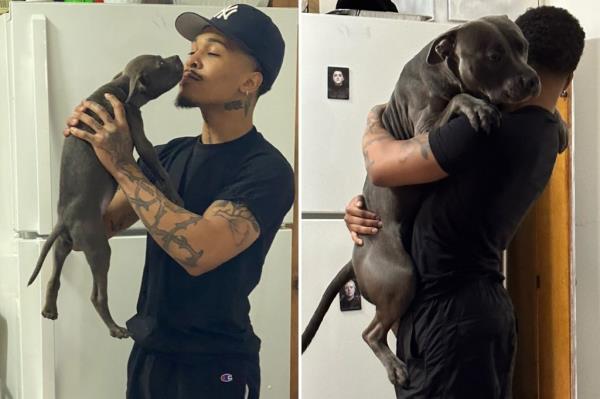 Side-by-side photos of Luis Gabriel Santamaria with Kith as a puppy and full grown. 