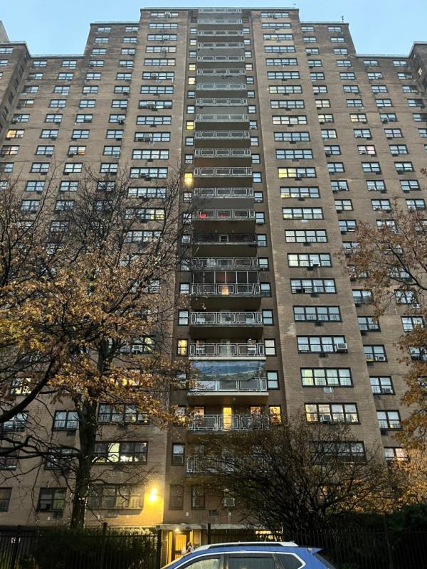 Morris is accused of throwing the two-year-old pooch from the 14th floor balcony.