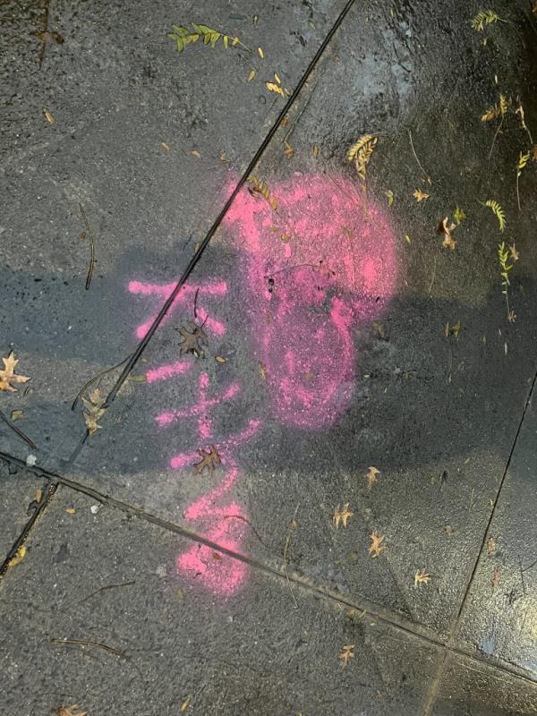 Marker wher<em></em>e the dog landed on the sidewalk.