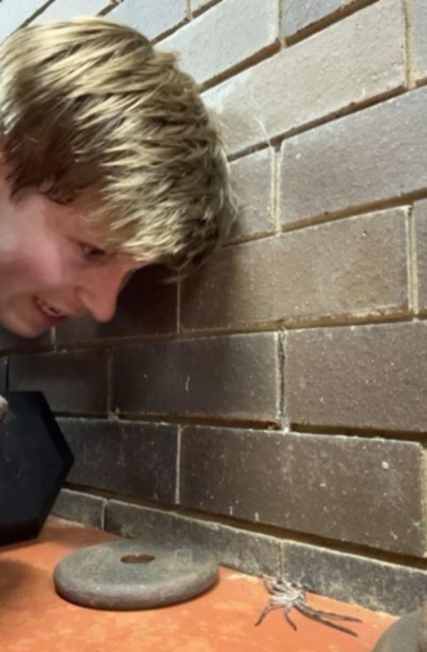 A Hunstman spider appeared to be hiding under Robert's weights.