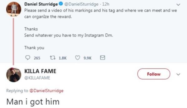 Daniel Sturridge dog allegedly found by Twitter user Killa Fame