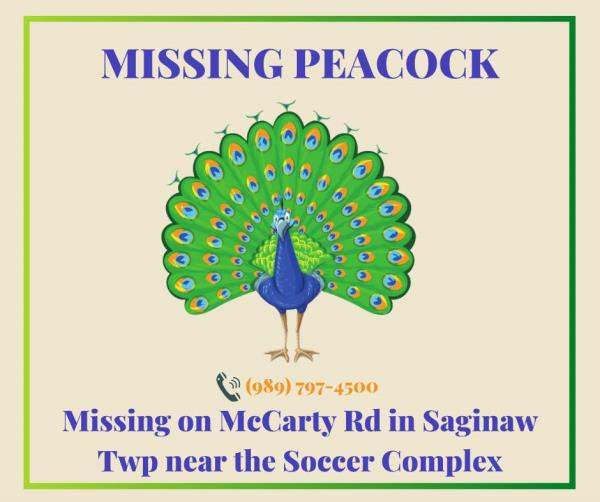 The Animal Shelter added a $150 throw net -- described as 