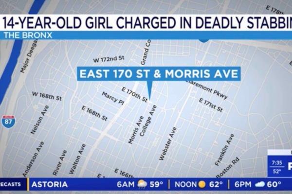 Jose Valarezo, 35, was stabbed to death in the Bronx Tuesday — and the o<em></em>nly person collared is a 14-year-old girl, now charged with murder, who allegedly stood across the street during the bloody fight