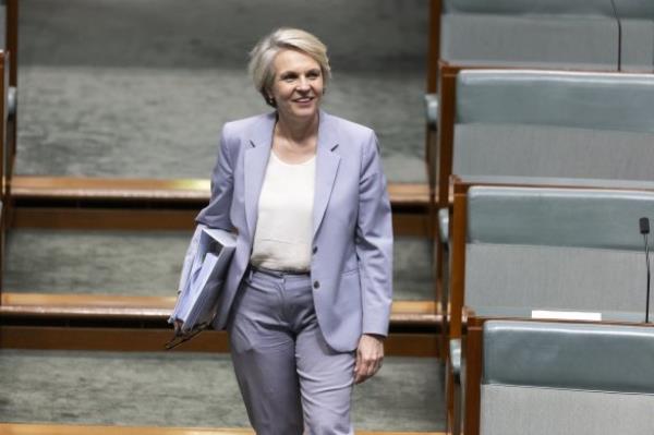Tanya Plibersek said her decision to impose heritage co<em></em>nditions on the McPhillamys mine would not prevent it from proceeding.