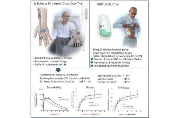 New device and drug combination could revolutio<em></em>nize heart failure treatment